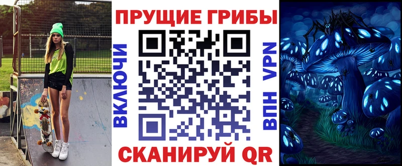 Купить закладки  Хабаровск  Псилоцибиновые грибы мицелий 